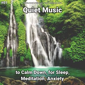 Download track Quiet Music, Pt. 1 Relaxing Spa Music