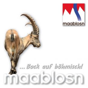 Download track Ein Walzer Mit Dir Maablosn