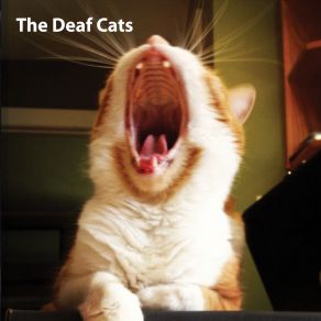 Download track Fall Into Your Dreams The Deaf Cats