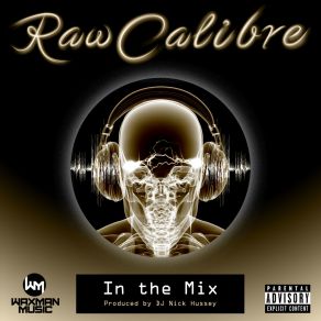 Download track Party Girl Raw Calibre