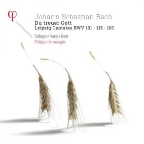 Download track Mache Dich, Mein Geist, Bereit In G Major, BWV 115: V. Recitativo 