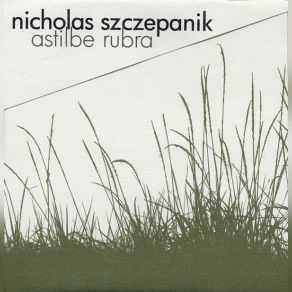 Download track Delays - Interference Nicholas Szczepanik