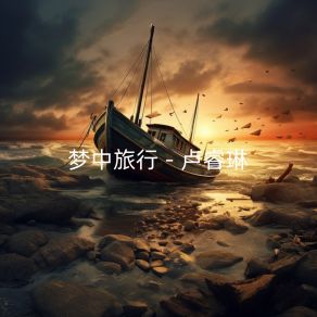 Download track 真实的幻觉 卢睿琳