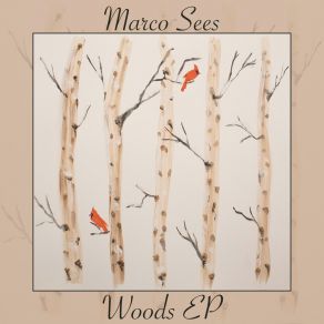 Download track Notes Of Madness Marco Sees