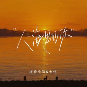 Download track 人海遇见你 (温情版) Da Wei