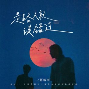 Download track 是路人就该错过 (伴奏) 赵浩宇