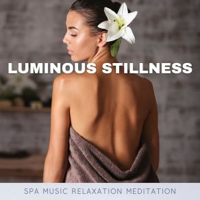 Download track Harmonious Nature Symphony Spa Music Relaxation Meditation