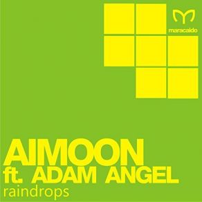 Download track Raindrops (Original Mix) Aimoon, Adam Angel