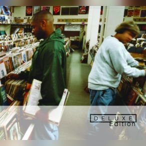 Download track Building Steam With A Grain Of Salt Dj Shadow