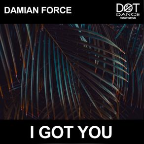 Download track I GOT YOU (Original Mix) Damian Force