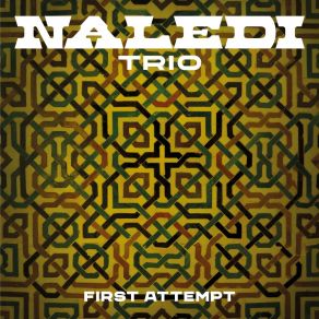 Download track Volim Naledi Trio