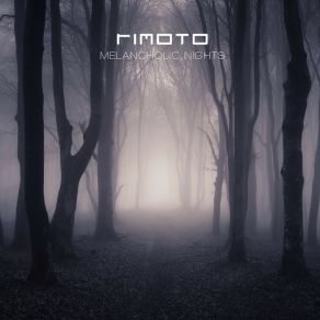 Download track Fading Memories Rimoto