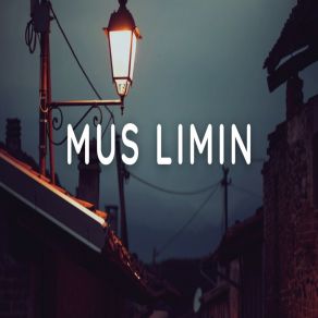 Download track Terdiiam Mus Limin