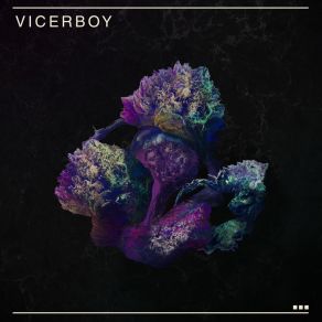 Download track Las Simples Cosas Vicerboy