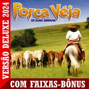 Download track Vou Deixar Saudade (Ao Vivo) Porca Veia