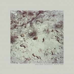 Download track Desert Parsley Spectral Acoustic