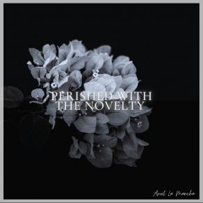 Download track Perished With The Novelty Ariel La Mancha