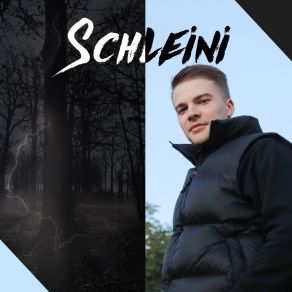 Download track Tschüsssiiii SchleiniBasti P