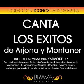 Download track Señora De Las 4 Decadas (Karaoke Version) [Originally Performed By Ricardo Arjona] Brava HitMakers