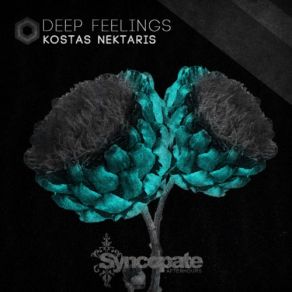 Download track Bring The Love (Original Mix) Kostas Nektaris