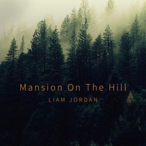 Download track Mansion On The Hill Liam Jordan