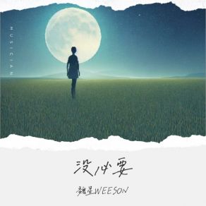 Download track 没必要 (和声伴奏版) 魏星WEESON