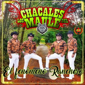 Download track La Casa Vieja Los Chacales Del Maule