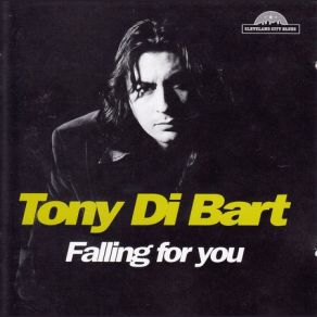 Download track Falling For You Tony Di Bart