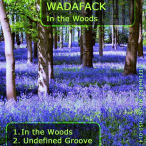 Download track Undefined Groove Wadafack