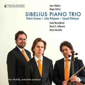 Download track 13. Jean Sibelius: Lovisa Trio In C Major - III. Allegro Con Brio Sibelius Piano Trio