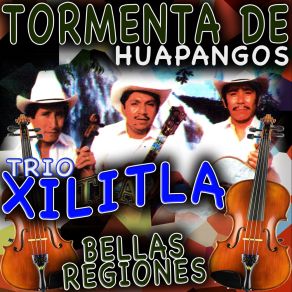 Download track La Rosita Arribena Trio Xilitla