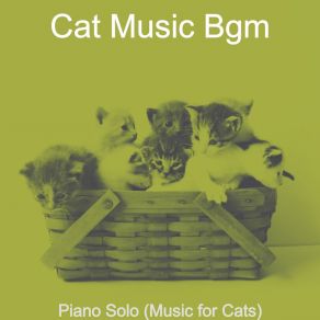 Download track Background For Kittens Cat Music Bgm