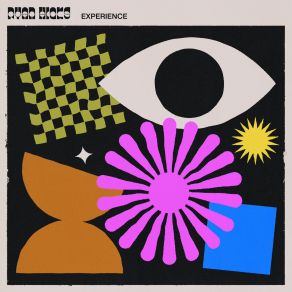 Download track Experience Ryan Hicks