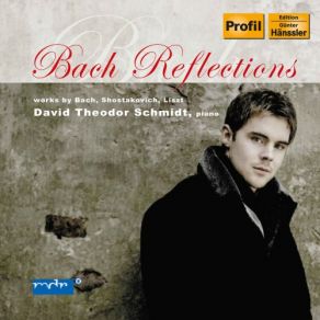 Download track Keyboard Partita No. 6 In E Minor, BWV 830 II. Allemande David Theodor Schmidt