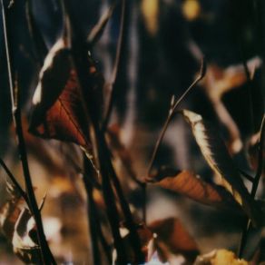 Download track Forgiveness [II] Benoît Pioulard