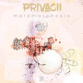 Download track Peace (Extended Mix) PrivaciiTlhalefo