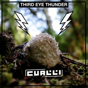 Download track Third Eye Thunder, Pt. 1 Cualli