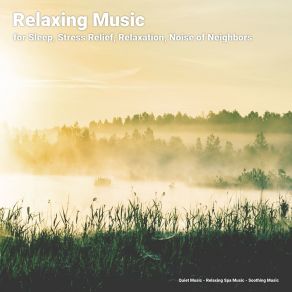 Download track Migrate Soothing Music