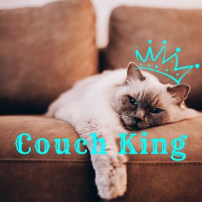 Download track Overreach Couch King