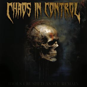 Download track Clarity In Pain Chaos In Control