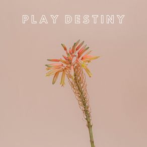 Download track Play Destiny (Extended Mix) Ianene