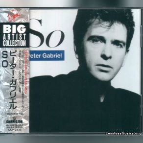 Download track This Is The Picture - Excellent Birds Peter Gabriel