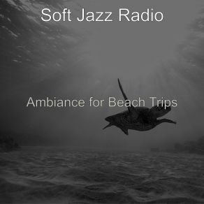 Download track Cultured Summer Vacation Soft Jazz Radio