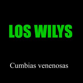 Download track Cumbia Mitla Los Wilys