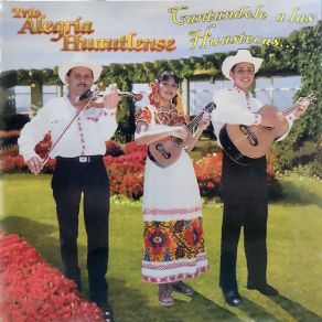 Download track Alma Huasteca Trio Alegria Huautlense