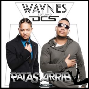 Download track Patas Arriba (Dcs) Waynes