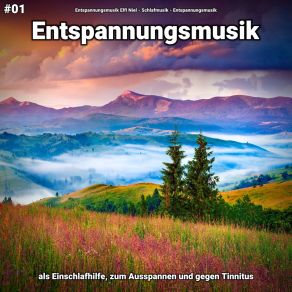 Download track Entspannungsmusik Pt. 57 Entspannungsmusik