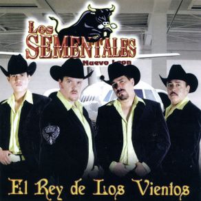 Download track Luto En La Mafia Los Sementales De Nuevo Leon