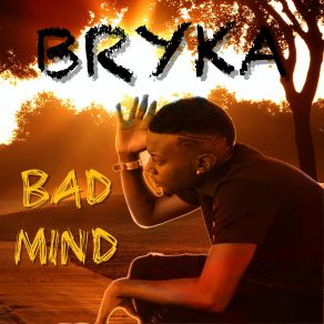 Download track Bad Mind Bryka