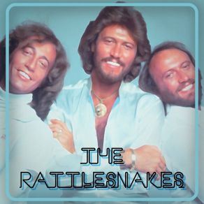 Download track I Have Decided To Join The Air Force Bee Gees